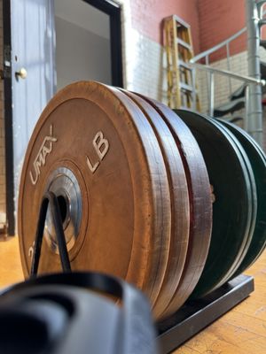 New Orleans Athletic Club by null