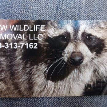 Caw Wildlife Removal - Business Card - Wildlife Control Near Me