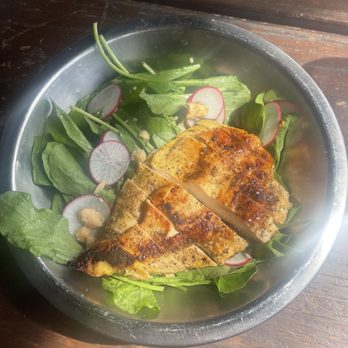 Bread & Circus Sandwich Kitchen - House Salad with chicken - Sandwiches Near Me - Sioux Falls, South Dakota
