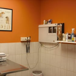 Chicago Pet Clinic - Exam room