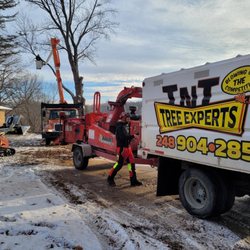 TNT Tree Experts