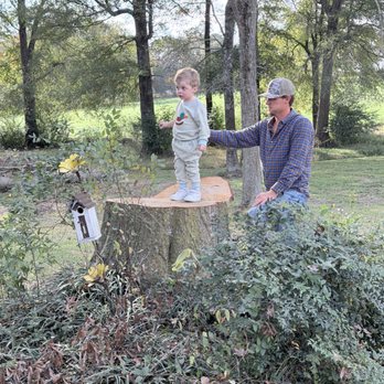 McRee’s Tree Service - Tree Services Near Me McRee’s Tree Service - Tree Services Near Me