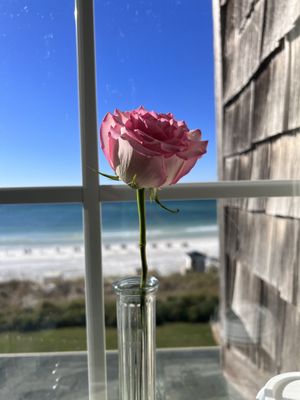 Henderson Park Inn by null