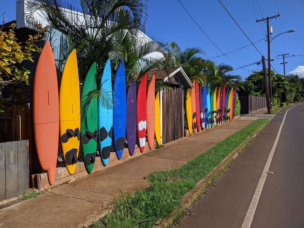 MAUI SUNRIDERS BIKE Updated August 2024 262 Photos & 364 Reviews