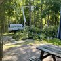 Kleber C Tree Service & Excavation