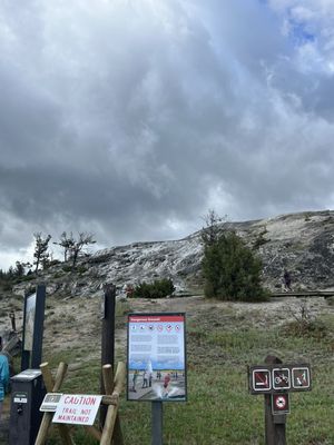 Mammoth Hot Springs by null