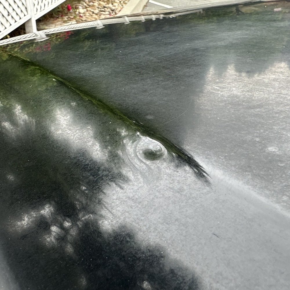 Carbulance Mobile Auto Body - Dent and Oxidation - Body Shops Near Me - San Diego, California