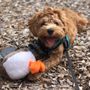 Photo of Doggy Duty