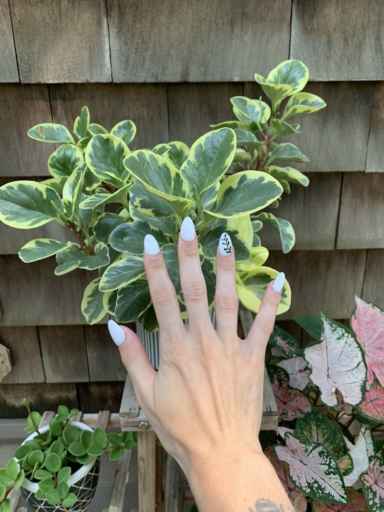 K.H. NAILS & SPA Updated July 2024 12 Reviews 371 Main St, Center Moriches, New York