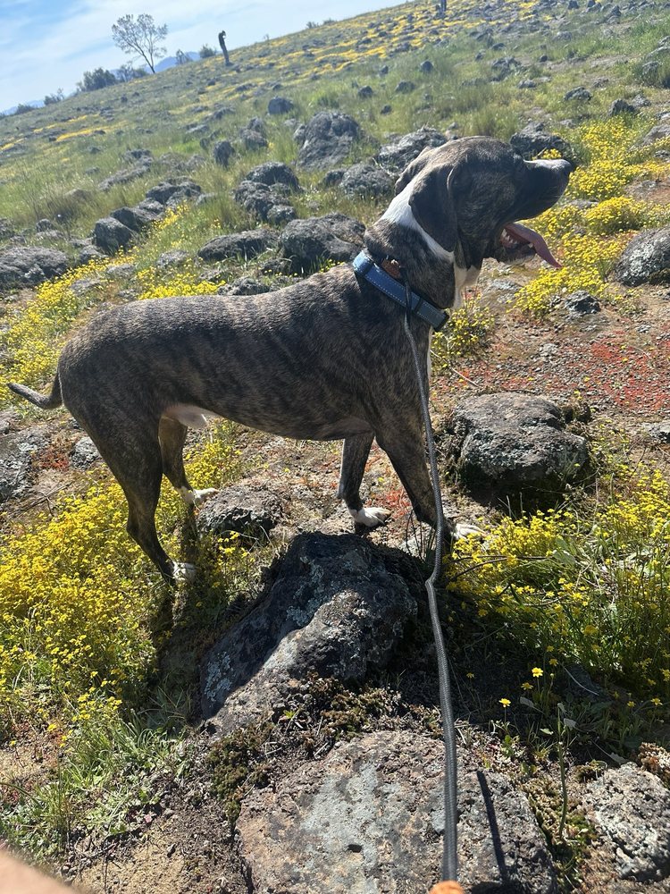 TABLE MOUNTAIN Updated October 2024 58 Photos & 10 Reviews 1792617902 Shell Rd, Jamestown