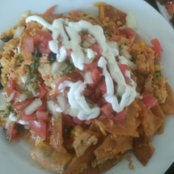 Blu Jam Cafe - Chilaquiles - Breakfast & Brunch Near Me - Sherman Oaks, California