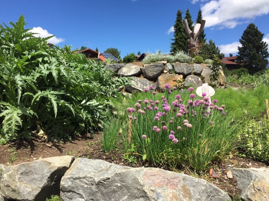 Burghotel Bären by null