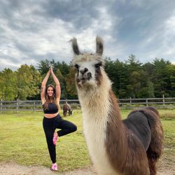 Dakota Ridge Farm - Llama Yoga