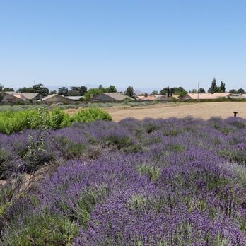 123 Farm - Farmers Market Near Me - Cherry Valley, California