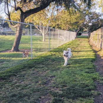 Larry J Marsalli - Dog Parks Near Me - Santa Clara, California