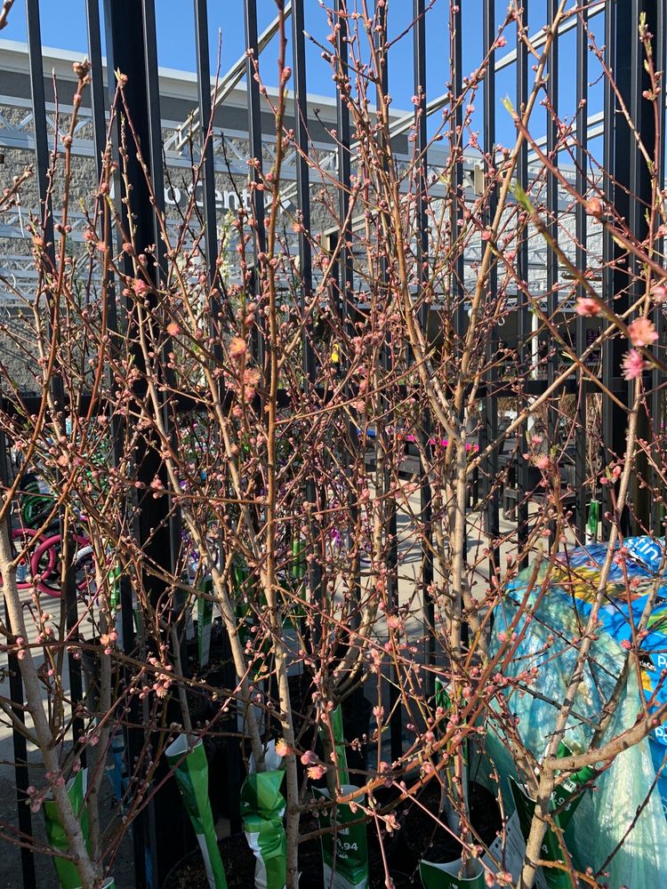 WALMART SUPERCENTER Updated August 2024 16 Photos 308 Nc Hwy 55 W