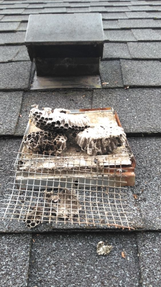 Slide of Meticulous Metal Roofing