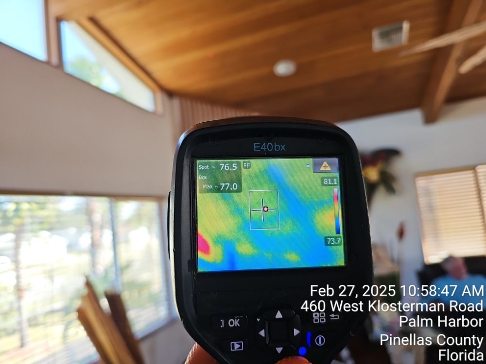 Almighty Environmental Professionals - mold inspector in Sanford, FL