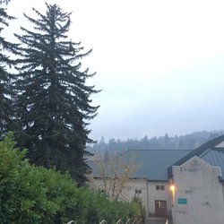 Ananda Center of Laurelwood - Partial view from my Laurelwood valley view in my room. Most of the view was a building's flat roof though.