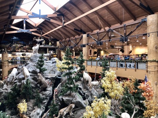 Bass Pro Shops (Formerly Cabela's) by null