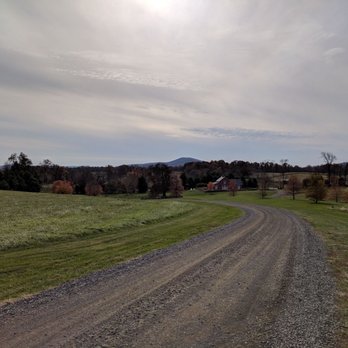 Lost Mountain Vineyards - Wineries Near Me - Delaplane, Virginia