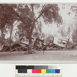 Grant Elementary School - Grant School was a 2 story school building destroyed by the 1906 earthquake!