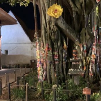 Palapa - Venues & Event Spaces Near Me - Miami, Florida