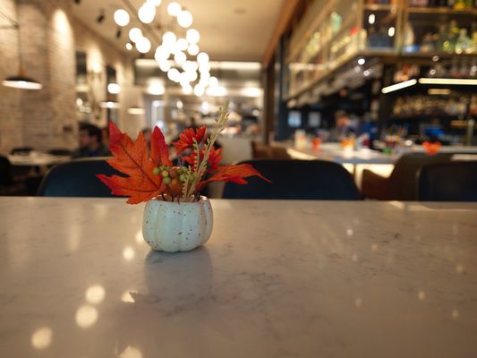 About Last Knife (ALK) by null