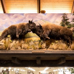 Mural Decor - Canvas backdrop completed for Fortune 500 company. To be installed like wallpaper. Easy to take down and move with you!
