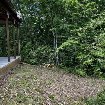 Shults Tree Service - Tree removal and clean up - Tree Services Near Me - Louisville, Kentucky Shults Tree Service - Tree removal and clean up - Tree Services Near Me - Louisville, Kentucky