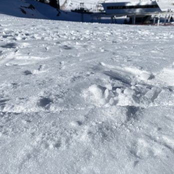 Sunrise Park Resort - Most runs are all ice. No powder. - Ski Resorts Near Me - Greer, Arizona Sunrise Park Resort - Most runs are all ice. No powder. - Ski Resorts Near Me - Greer, Arizona