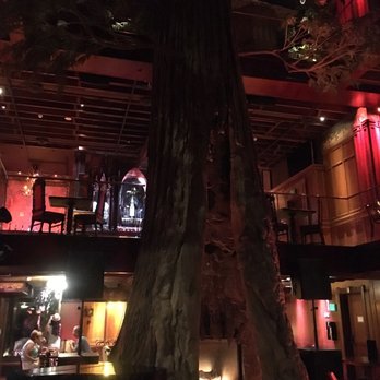Clifton's Republic - A tree in the middle of the restaurant - Bars Near Me - Los Angeles, California