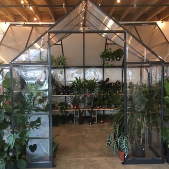 And Stuff - Pretty plants for sale IN A GREENHOUSE! - Used, Vintage & Consignment Near Me - Albuquerque, New Mexico