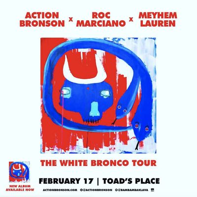 Toad's Place by null