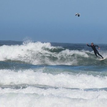 Morro Strand State Beach - Beaches Near Me