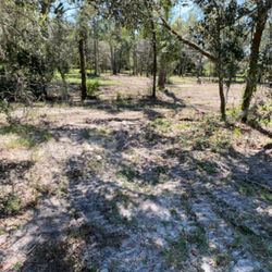 Owens Construction & Debris Removal - Land clearing