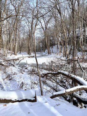 Starved Rock State Park by null
