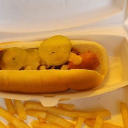 Mr Hot Dog - Mr. Hot Dog  Coney + and fries.