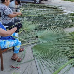 St Simon's Episcopal Church - Preparing for Palm Sunday