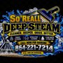 So'Reall Deep Steam Carpet Cleaners