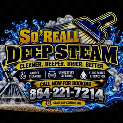 So'Reall Deep Steam Carpet Cleaners