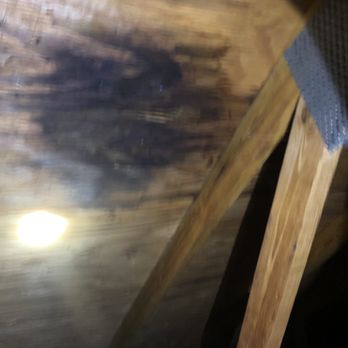 Rhyne Restoration - Wet plywood - Roofing Near Me - Orlando, Florida Rhyne Restoration - Wet plywood - Roofing Near Me - Orlando, Florida