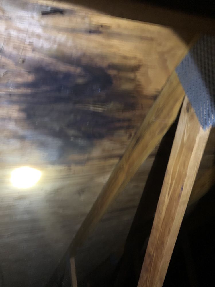 Slide of Rhyne Restoration