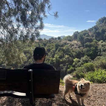 TreePeople - My dog was having a great time. - Community Service/Non-Profit Near Me - Beverly Hills, California TreePeople - My dog was having a great time. - Community Service/Non-Profit Near Me - Beverly Hills, California