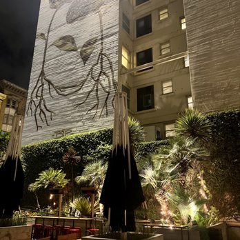 620 Jones - Patio - New American Near Me - San Francisco, California