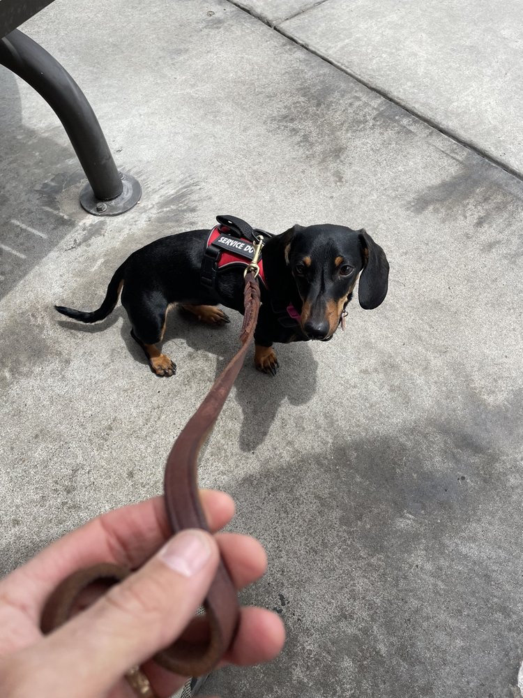 PETS IN PARADISE Updated September 2024 36 Photos & 11 Reviews