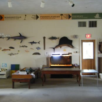 Marion Natural History Museum - Fish - Museums Near Me - Marion, Massachusetts Marion Natural History Museum - Fish - Museums Near Me - Marion, Massachusetts