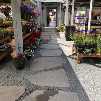 Sloat Garden Center - Shaded outdoor area, nice walkways. - Nurseries & Gardening Near Me - Petaluma, California Sloat Garden Center - Shaded outdoor area, nice walkways. - Nurseries & Gardening Near Me - Petaluma, California