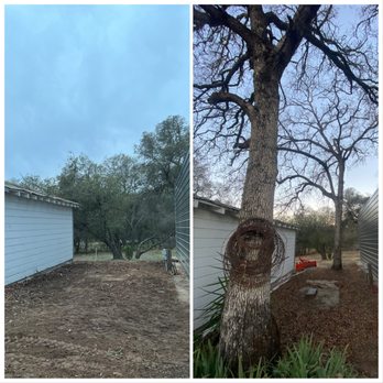 MTA Enterprise - Tree and stump removal - Tree Services Near Me - Foresthill, California