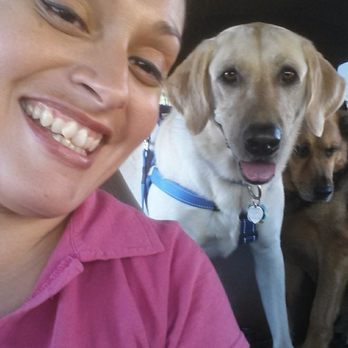 The Pawtenders - Auntie Vanessa and Sha sha and Katie girl - Dog Walkers Near Me The Pawtenders - Auntie Vanessa and Sha sha and Katie girl - Dog Walkers Near Me